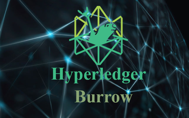 Hyperledger Burrow چیست؟